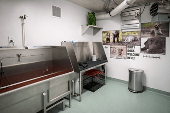 Pet washing station